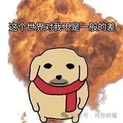 托福阅读开始考中考填空题,是放水吗?-第7张图片-四季读书网