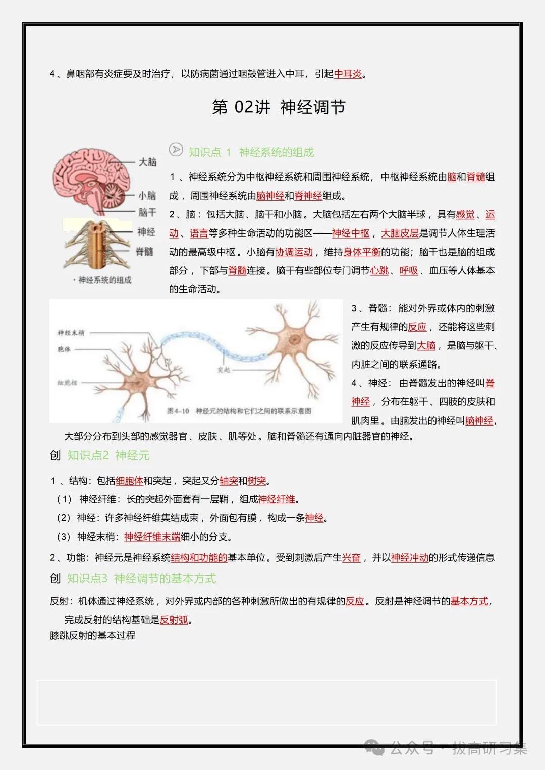 初二新版【八上生物】全册必背核心考点知识梳理汇总,2026届有完整版可打印-第5张图片-四季读书网
