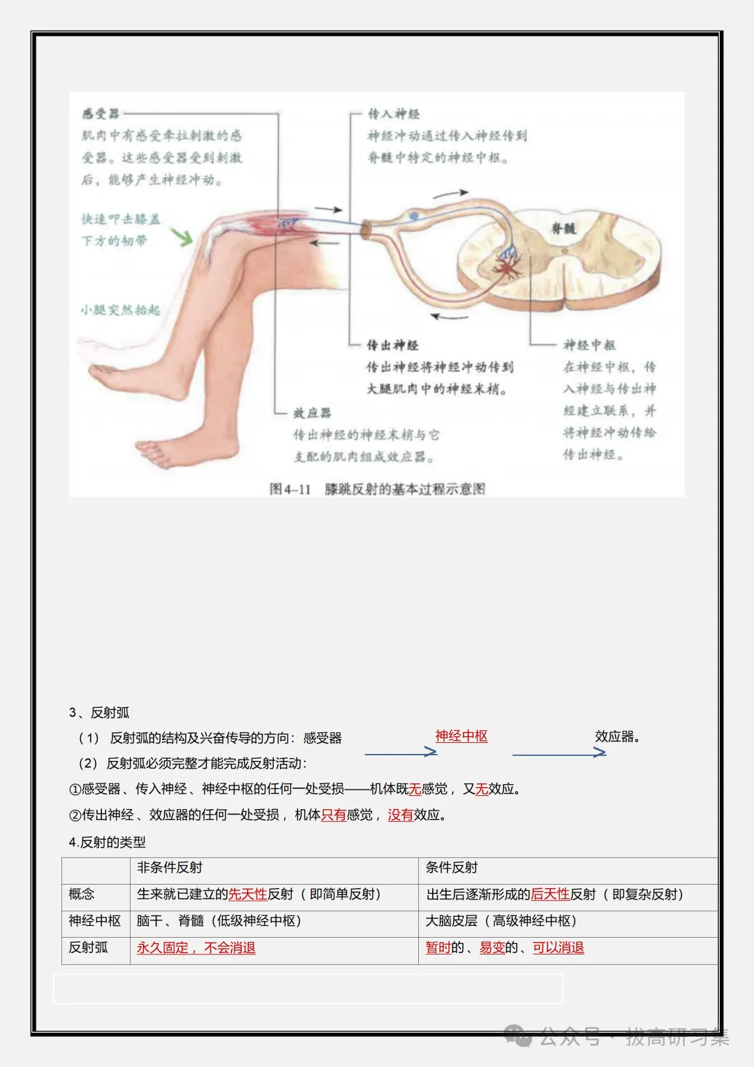初二新版【八上生物】全册必背核心考点知识梳理汇总,2026届有完整版可打印-第6张图片-四季读书网