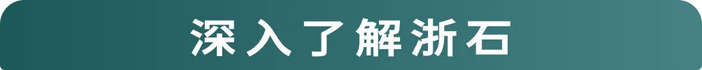 浙石抢分资料桶|浙江省考真题合集,摸透阅卷偏好,笔试冲高分-第16张图片-四季读书网