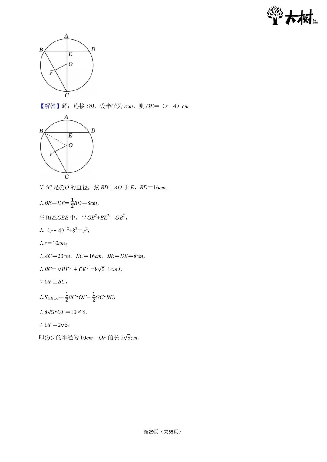 【初三 期中攻略】DAY10 数学+DAY9 化学-第7张图片-四季读书网 【初三 期中攻略】DAY10 数学+DAY9 化学-第7张图片-四季读书网