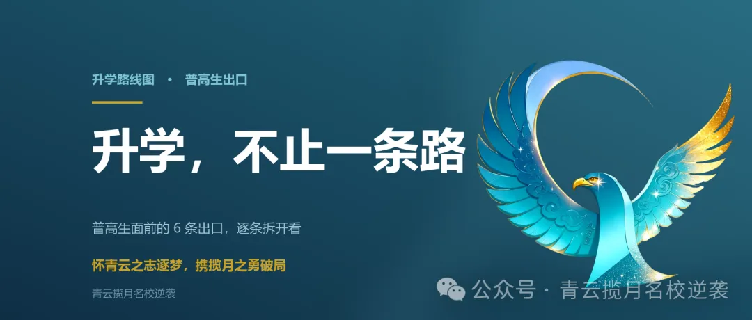 普高生的升学路,除了高考还有这几条-第1张图片-四季读书网