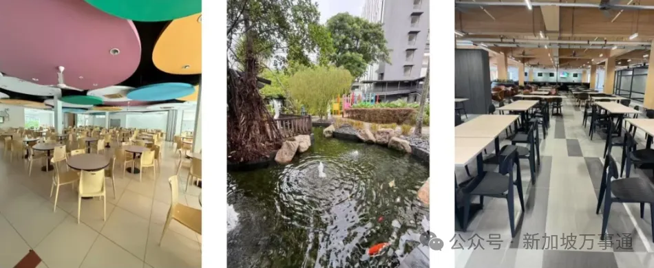 放弃高考的少年后来怎样了?新加坡公立院校起步,上岸NUS拿PR,逆袭成90后建筑高管!-第12张图片-四季读书网 放弃高考的少年后来怎样了?新加坡公立院校起步,上岸NUS拿PR,逆袭成90后建筑高管!-第12张图片-四季读书网