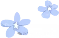 比比易高考英语短语五日通大全之S-Z-第7张图片-四季读书网 比比易高考英语短语五日通大全之S-Z-第7张图片-四季读书网