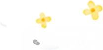 比比易高考英语短语五日通大全之S-Z-第16张图片-四季读书网 比比易高考英语短语五日通大全之S-Z-第16张图片-四季读书网