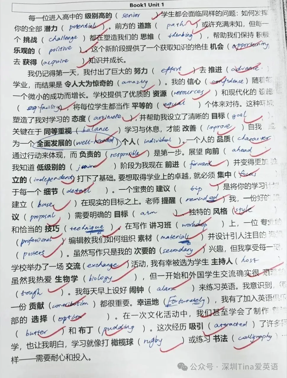 高考英语第一轮总复习怎么做更高效?(期中来临,附往年期中真题试卷下载)-第3张图片-四季读书网