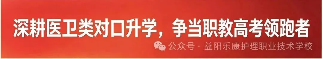 逐光而上,决战高考|我校高三高考动员大会顺利举行-第46张图片-四季读书网