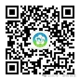 示范引领—— 工作室刘梅芳老师中考公益课开讲-第2张图片-四季读书网