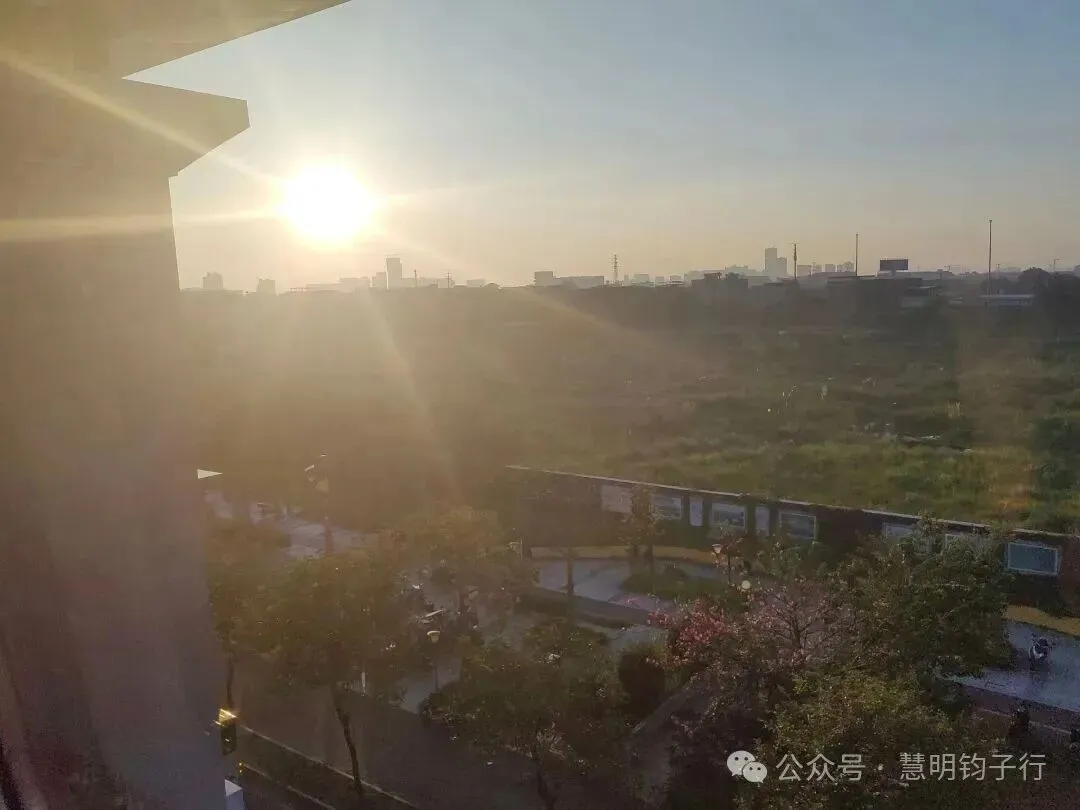 高考倒计时592天|一趟碰壁的香港寻工之旅,藏着成长最珍贵的一课-第1张图片-四季读书网
