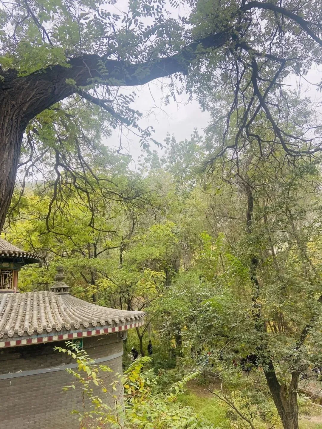 初一、十五上山祈福!-第1张图片-四季读书网 初一、十五上山祈福!-第1张图片-四季读书网