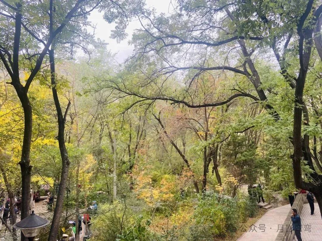 初一、十五上山祈福!-第2张图片-四季读书网 初一、十五上山祈福!-第2张图片-四季读书网