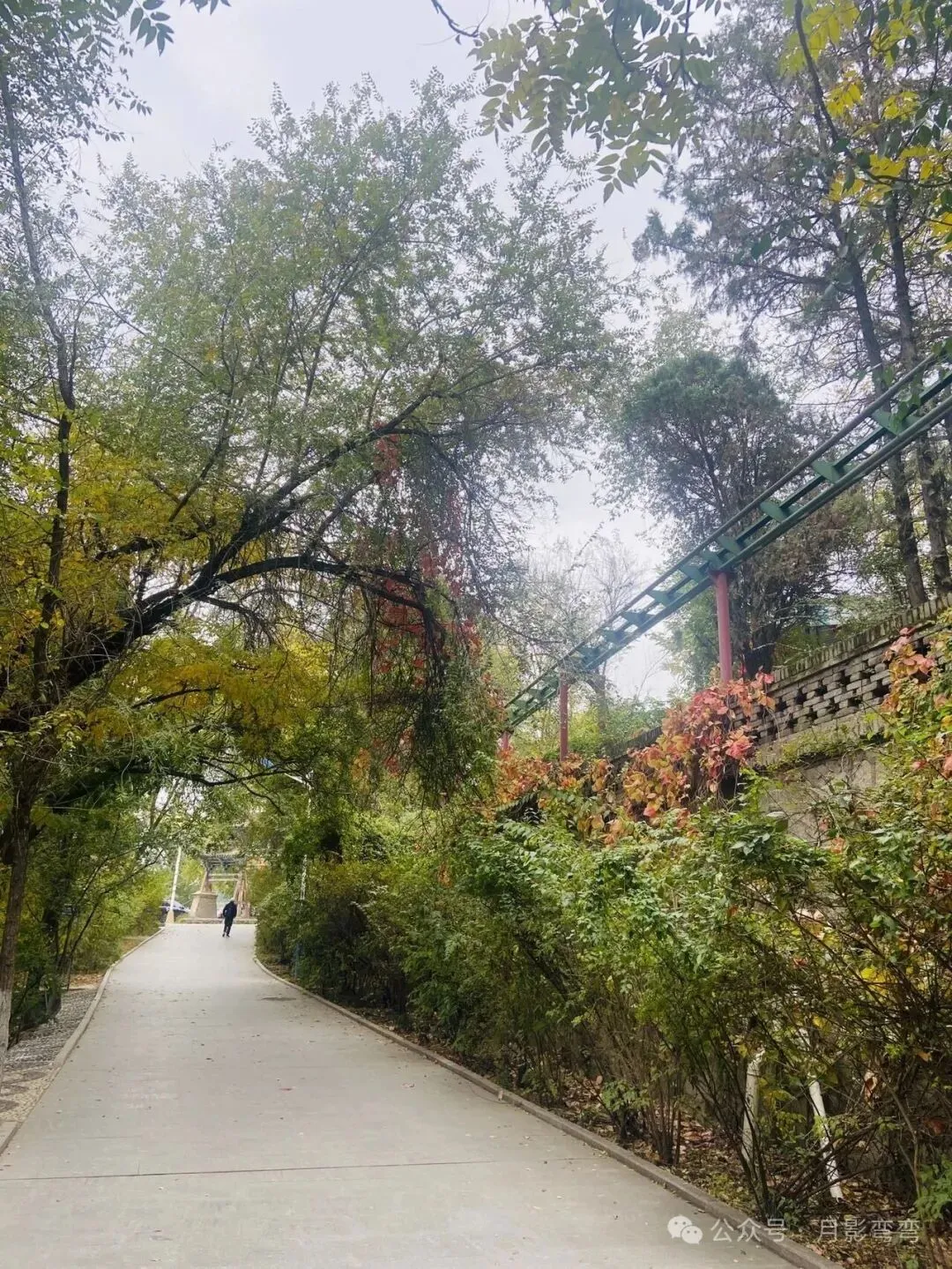 初一、十五上山祈福!-第3张图片-四季读书网 初一、十五上山祈福!-第3张图片-四季读书网