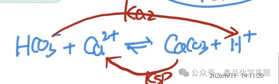 看K法真题演练2025浙江卷 · 碳酸电离常数与平衡表达式-第4张图片-四季读书网