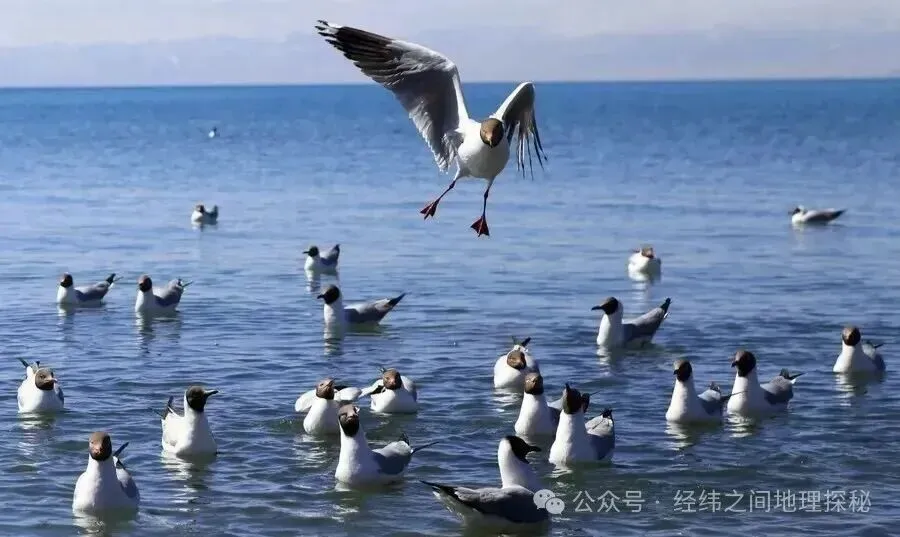 【高考地理】湖泊演变-第2张图片-四季读书网 【高考地理】湖泊演变-第2张图片-四季读书网