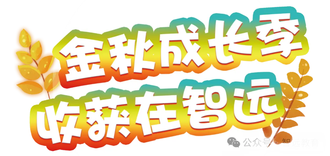 【高考】2027最新:山东各地邮政编码!高考生专享~-第2张图片-四季读书网