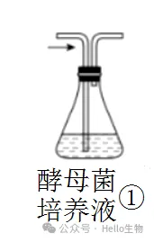 2027 届高三生物总复习基础试卷系列-第3张图片-四季读书网