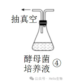 2027 届高三生物总复习基础试卷系列-第6张图片-四季读书网