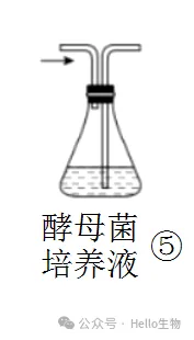 2027 届高三生物总复习基础试卷系列-第7张图片-四季读书网