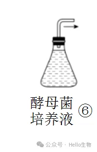 2027 届高三生物总复习基础试卷系列-第8张图片-四季读书网
