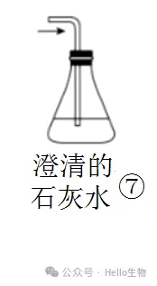 2027 届高三生物总复习基础试卷系列-第9张图片-四季读书网