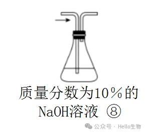 2027 届高三生物总复习基础试卷系列-第10张图片-四季读书网