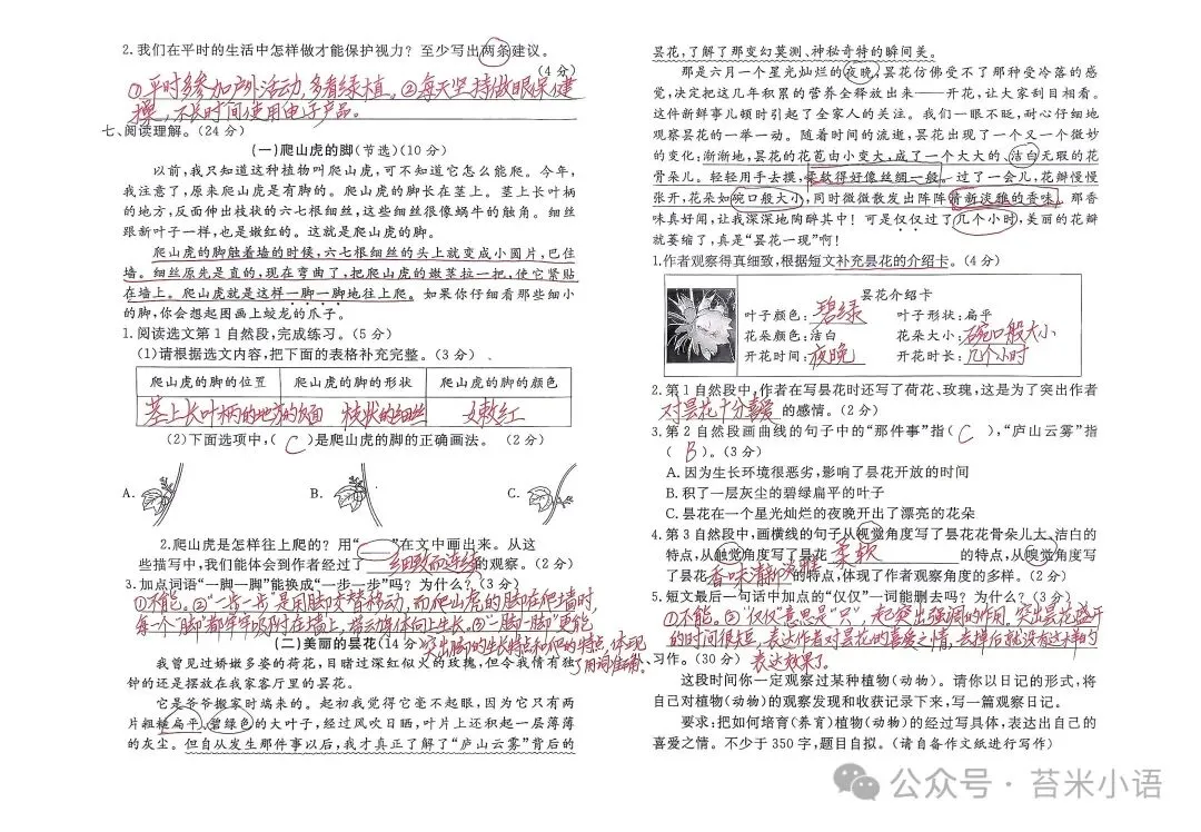 【考试习作】四上第三单元试卷考试习作——写观察日记-第2张图片-四季读书网