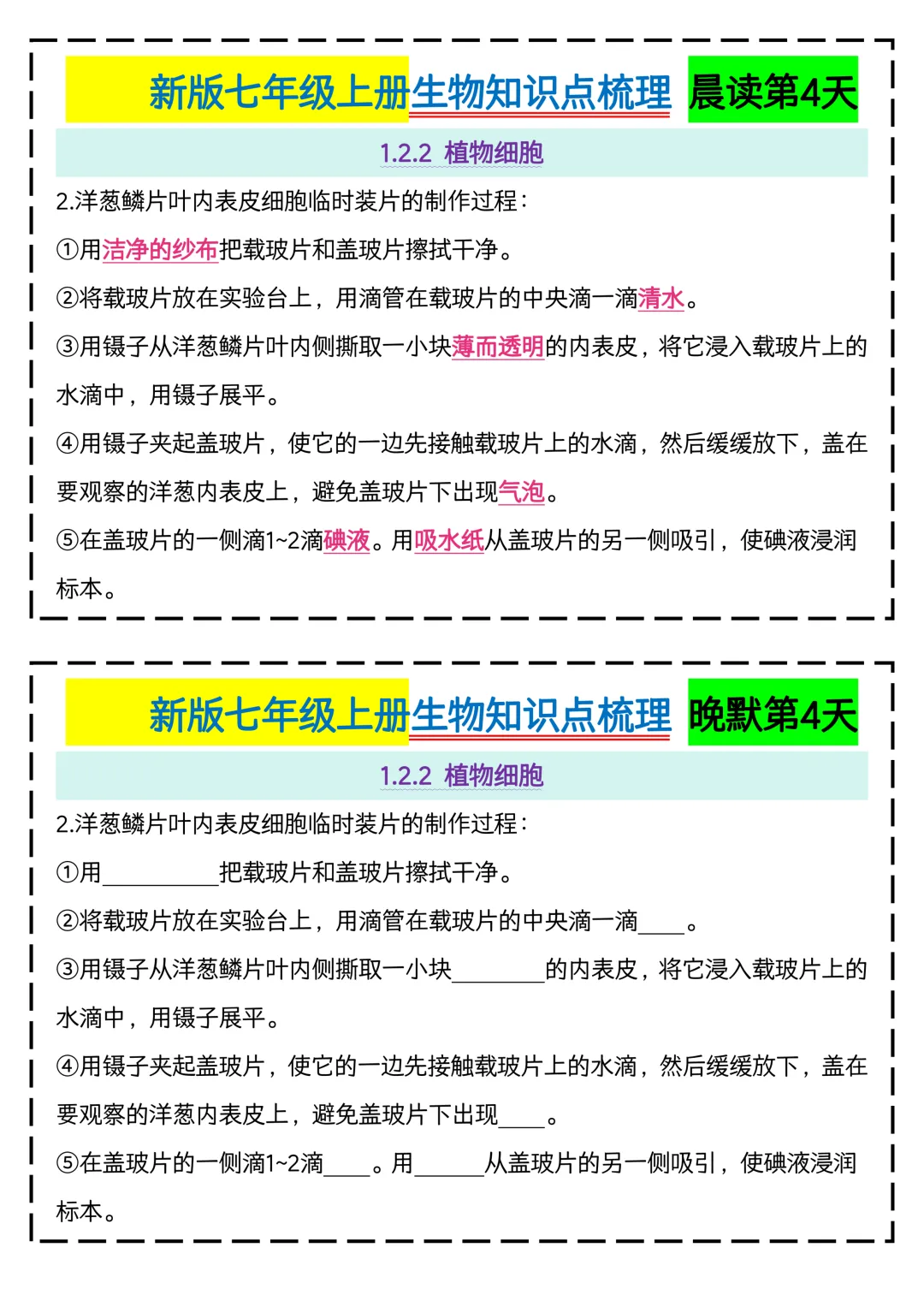 初一2026新版【七上生物】全册核心知识点早背晚默,完整版可打印-第6张图片-四季读书网