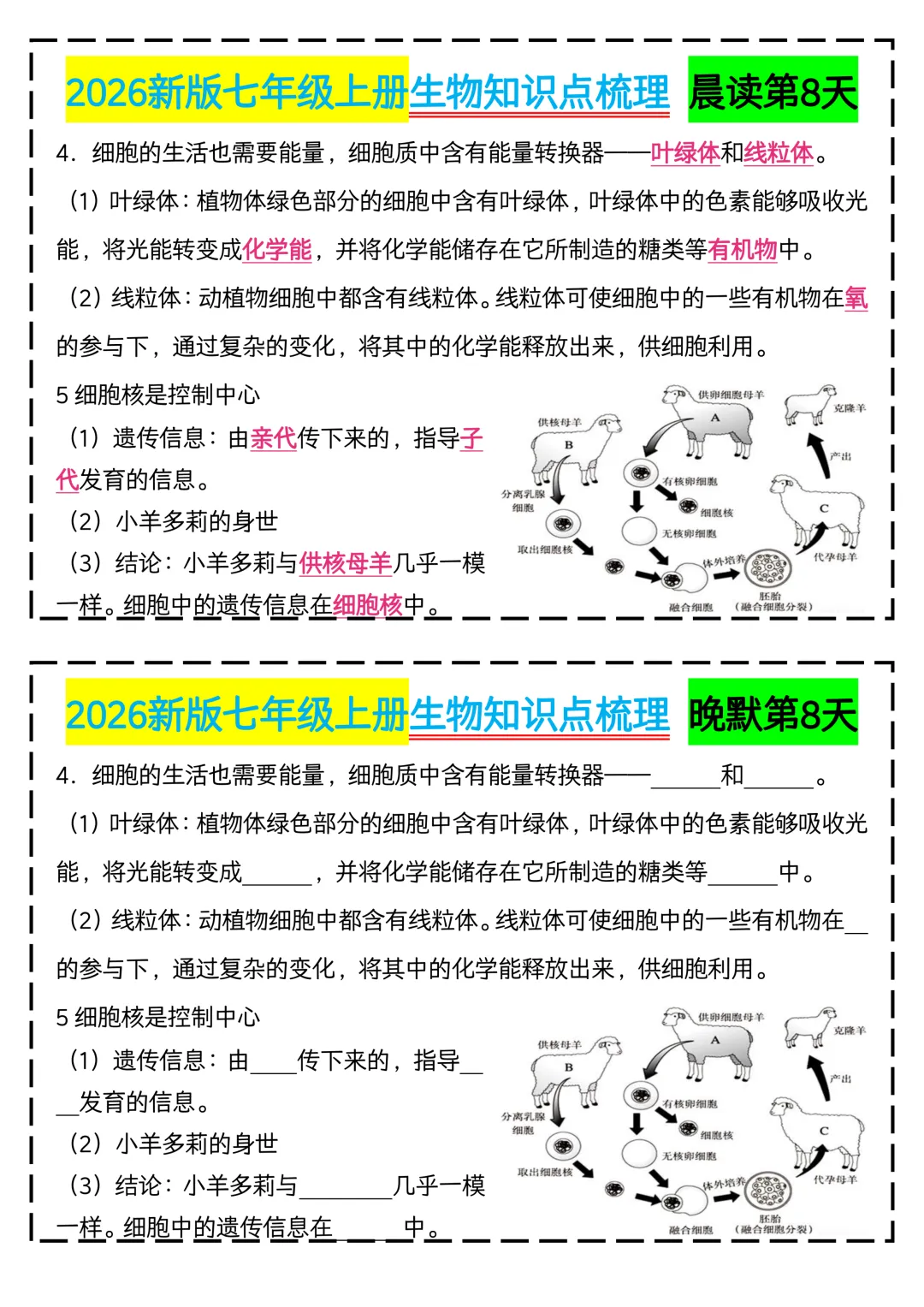 初一2026新版【七上生物】全册核心知识点早背晚默,完整版可打印-第10张图片-四季读书网