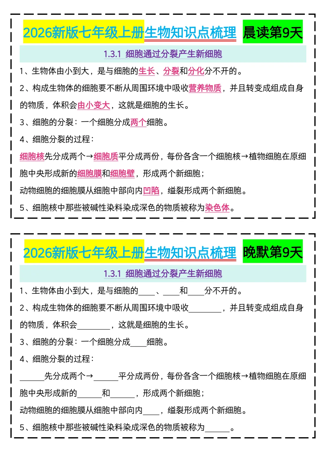 初一2026新版【七上生物】全册核心知识点早背晚默,完整版可打印-第11张图片-四季读书网