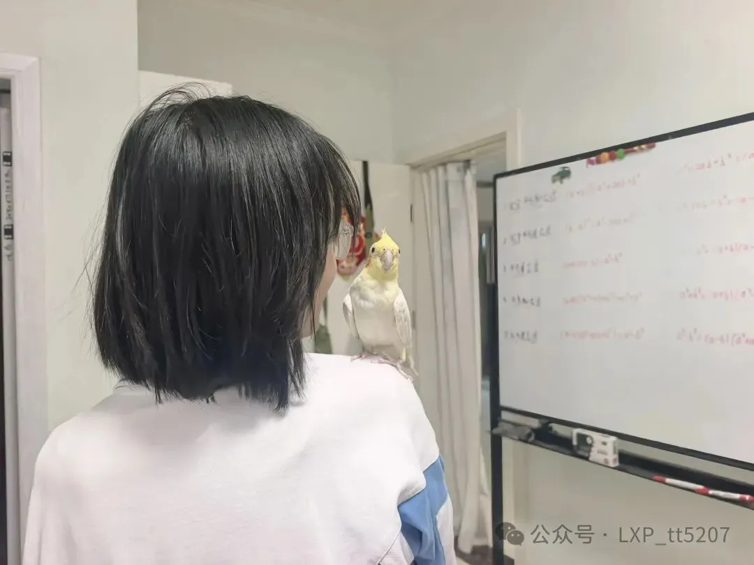 初二,是一场温柔的成长与悄然的蜕变-第2张图片-四季读书网 初二,是一场温柔的成长与悄然的蜕变-第2张图片-四季读书网