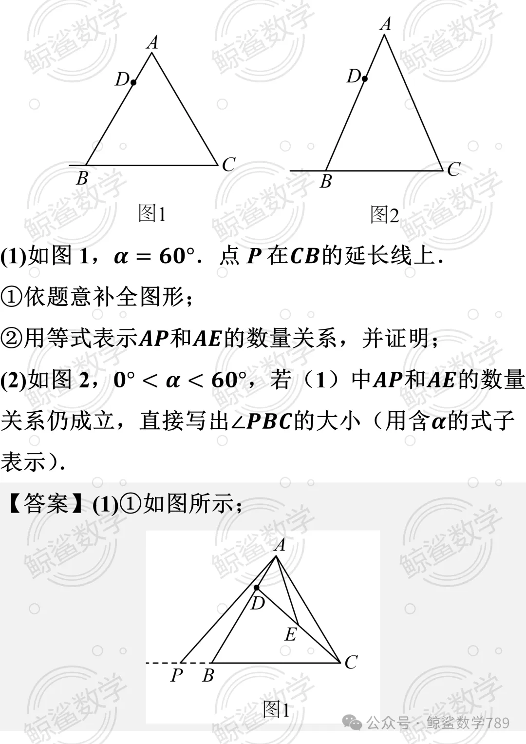 初二数学 | 北京市十一学校2026-2027学年八年级上学期10月学情自测数学试题-第39张图片-四季读书网 初二数学 | 北京市十一学校2026-2027学年八年级上学期10月学情自测数学试题-第39张图片-四季读书网
