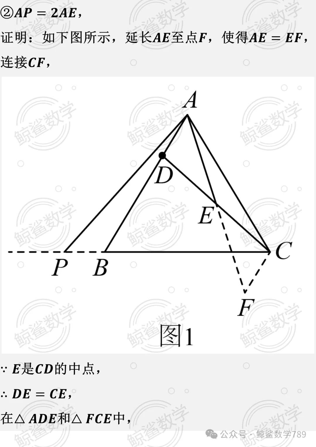 初二数学 | 北京市十一学校2026-2027学年八年级上学期10月学情自测数学试题-第40张图片-四季读书网 初二数学 | 北京市十一学校2026-2027学年八年级上学期10月学情自测数学试题-第40张图片-四季读书网