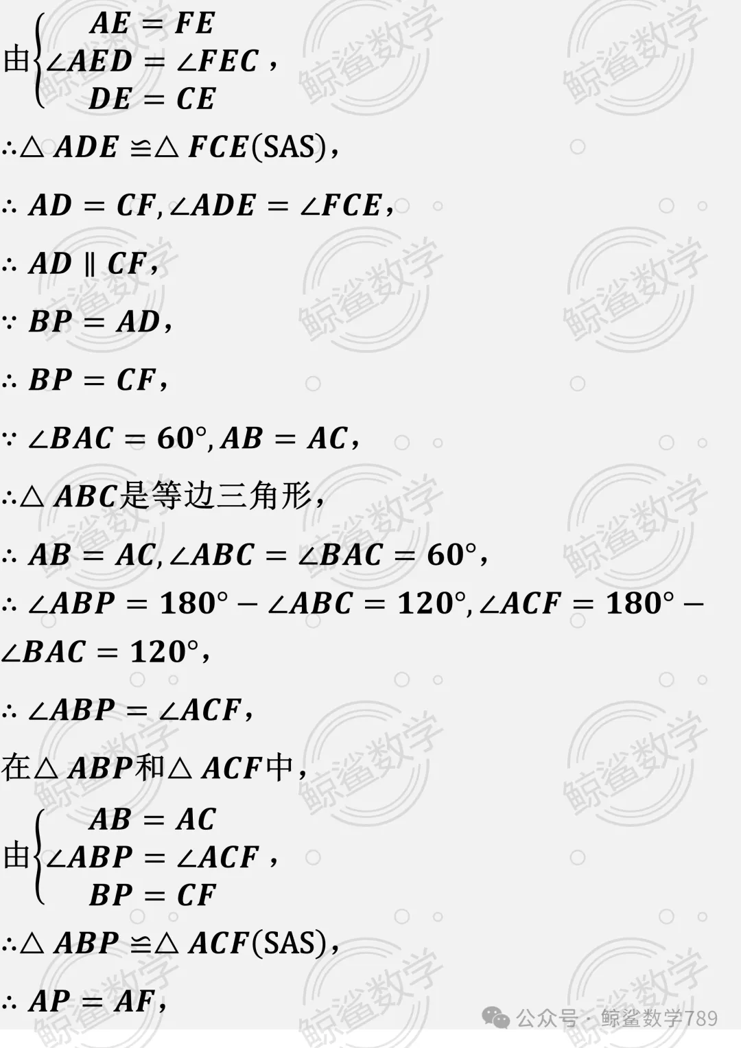 初二数学 | 北京市十一学校2026-2027学年八年级上学期10月学情自测数学试题-第41张图片-四季读书网 初二数学 | 北京市十一学校2026-2027学年八年级上学期10月学情自测数学试题-第41张图片-四季读书网