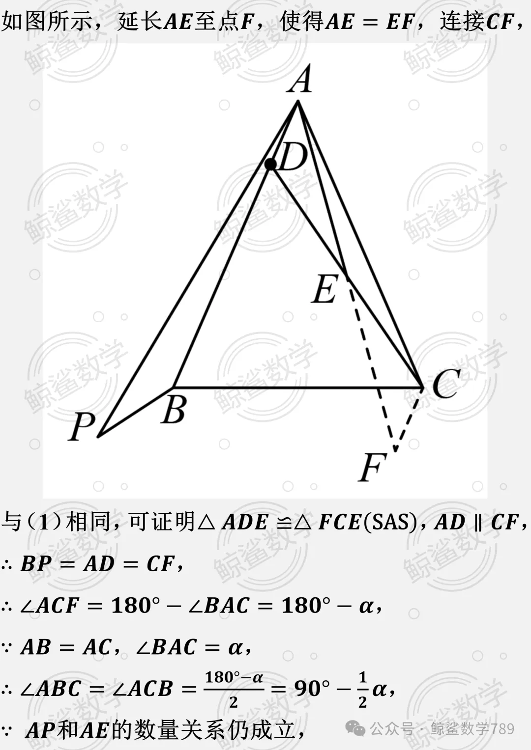 初二数学 | 北京市十一学校2026-2027学年八年级上学期10月学情自测数学试题-第43张图片-四季读书网 初二数学 | 北京市十一学校2026-2027学年八年级上学期10月学情自测数学试题-第43张图片-四季读书网