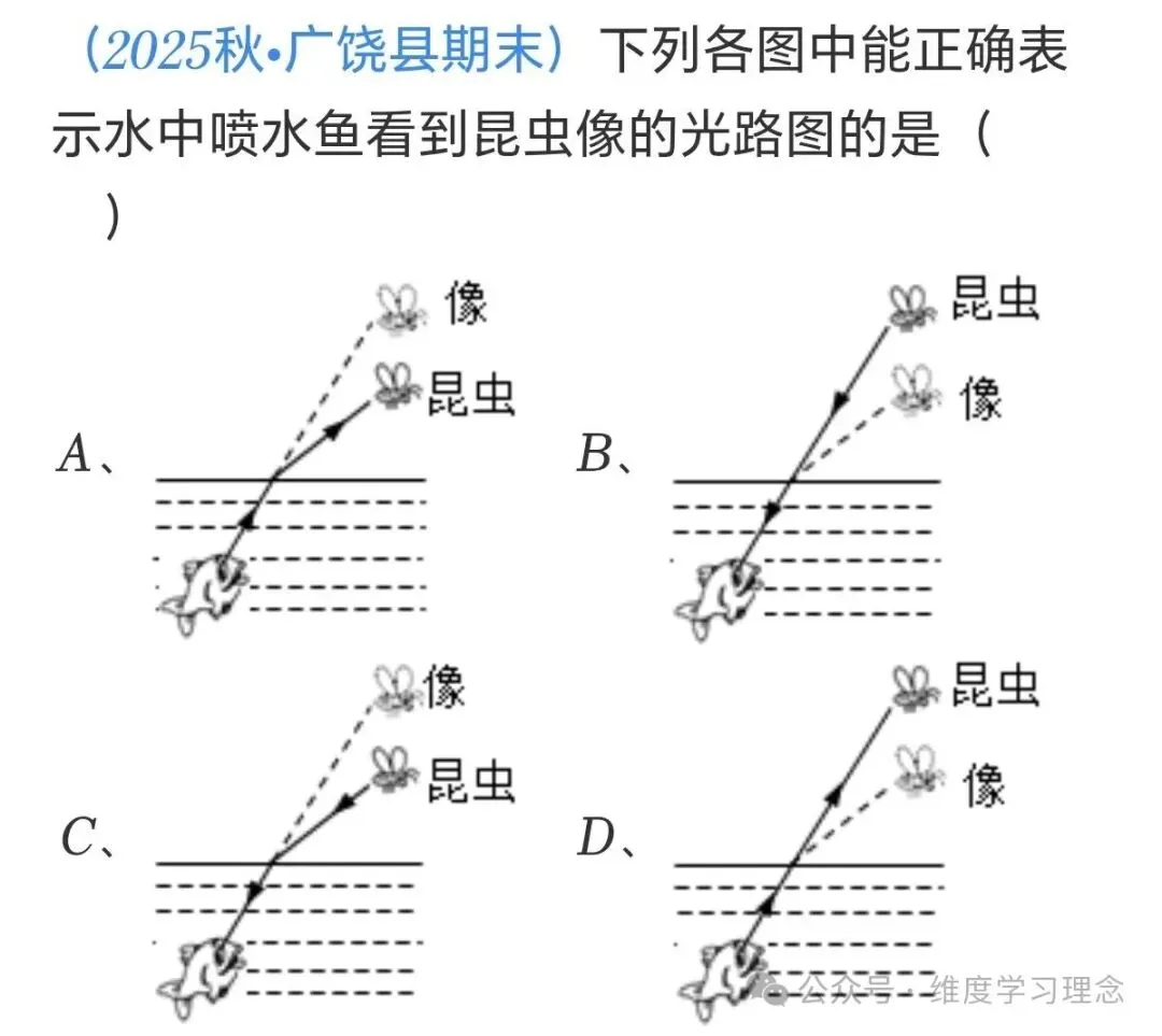 初二物理每日一练(光的折射)-第3张图片-四季读书网