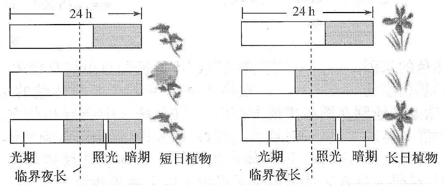 试卷讲解课件的生成(AI制作)-第1张图片-四季读书网
