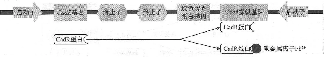 试卷讲解课件的生成(AI制作)-第3张图片-四季读书网