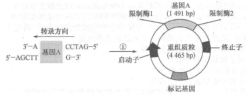 试卷讲解课件的生成(AI制作)-第5张图片-四季读书网