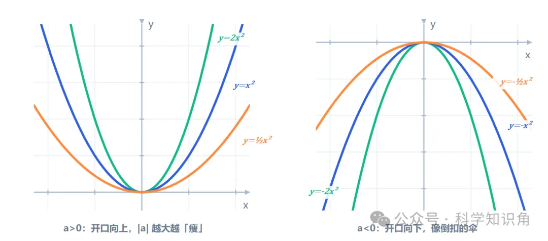 初三数学:二次函数专题复习(超长详细ProMax版)-第5张图片-四季读书网