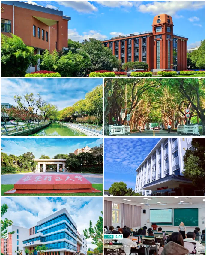高考后新选择 丨 2026年华东理工大学2+2国际本科招生简章!-第11张图片-四季读书网 高考后新选择 丨 2026年华东理工大学2+2国际本科招生简章!-第11张图片-四季读书网