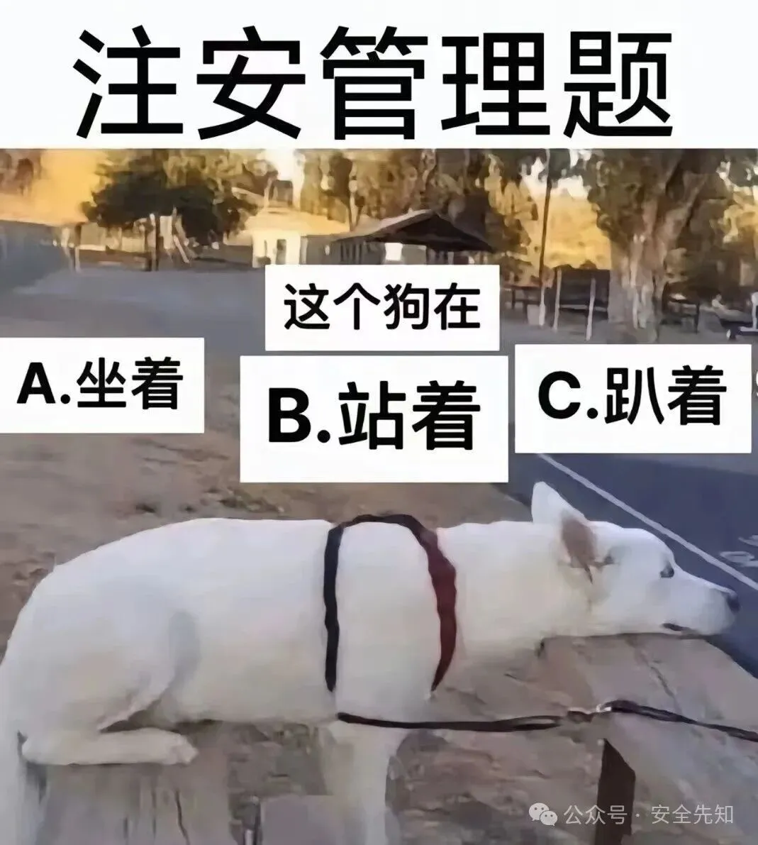 【管理】2026注安《管理》真题及答案(完整版)!!-第5张图片-四季读书网 【管理】2026注安《管理》真题及答案(完整版)!!-第5张图片-四季读书网