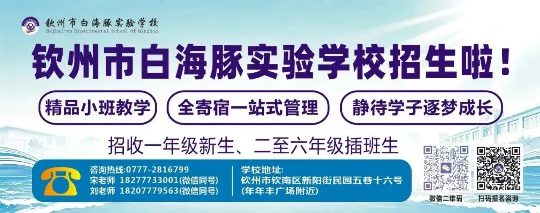 钦州中考志愿解读:特长+定向+统招-第1张图片-四季读书网