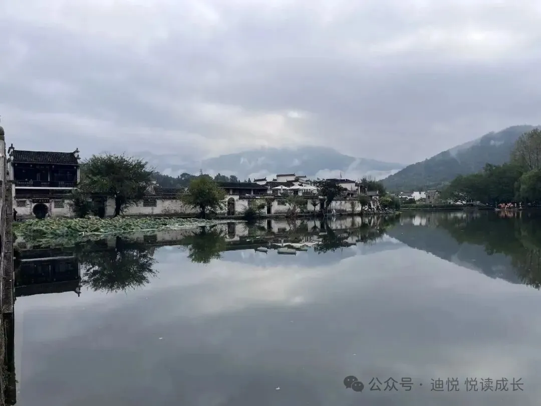 初三孩子真正的危机,从来不是成绩差!90%郑州孩子正在经历-第3张图片-四季读书网