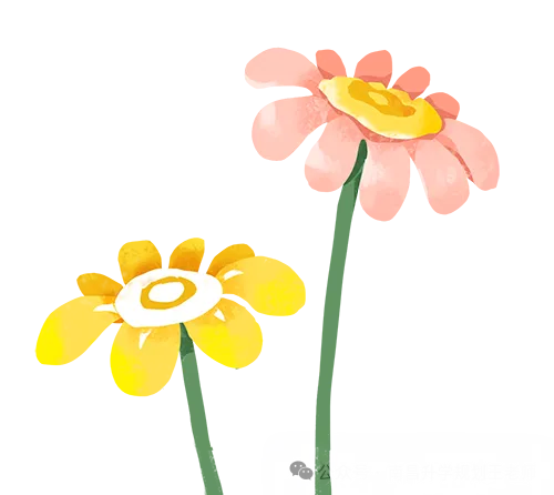 高考日报|重庆篇:江西考生,这座山城藏着超多报考机会!-第1张图片-四季读书网 高考日报|重庆篇:江西考生,这座山城藏着超多报考机会!-第1张图片-四季读书网
