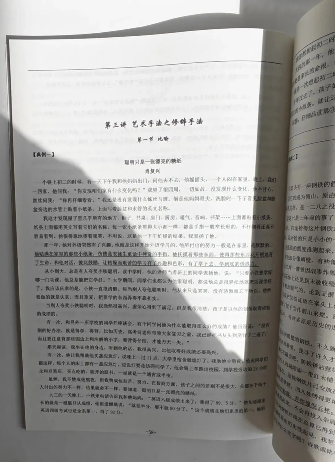 中考语文阅读全专题-第9张图片-四季读书网