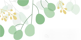 新高一选科怎么定?——山东“3+3”高考,选科指南-第1张图片-四季读书网