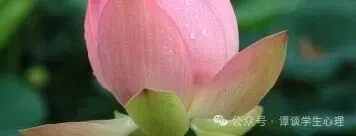 新高一选科怎么定?——山东“3+3”高考,选科指南-第4张图片-四季读书网