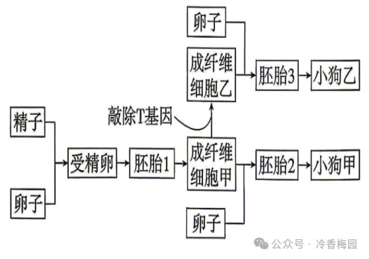 2026四川高考(试卷)-第2张图片-四季读书网 2026四川高考(试卷)-第2张图片-四季读书网