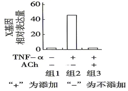 2026四川高考(试卷)-第12张图片-四季读书网 2026四川高考(试卷)-第12张图片-四季读书网