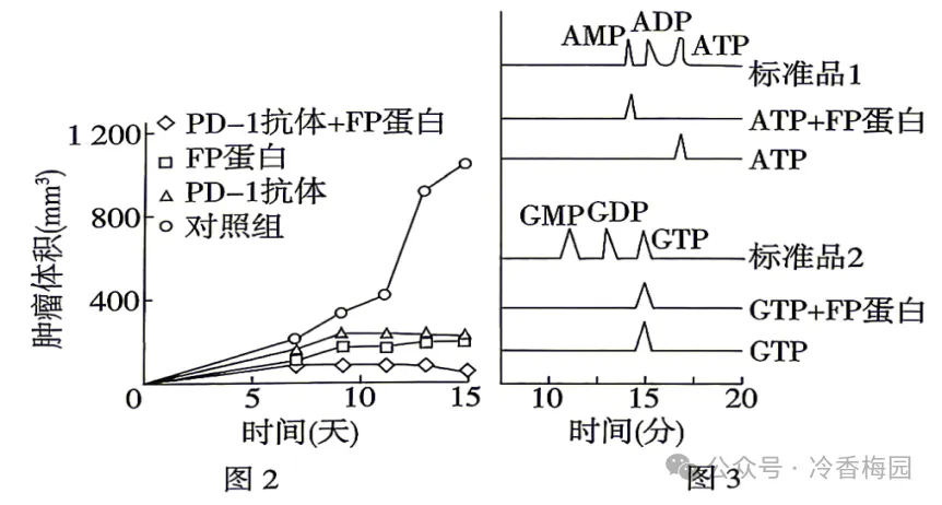 2026四川高考(试卷)-第14张图片-四季读书网 2026四川高考(试卷)-第14张图片-四季读书网